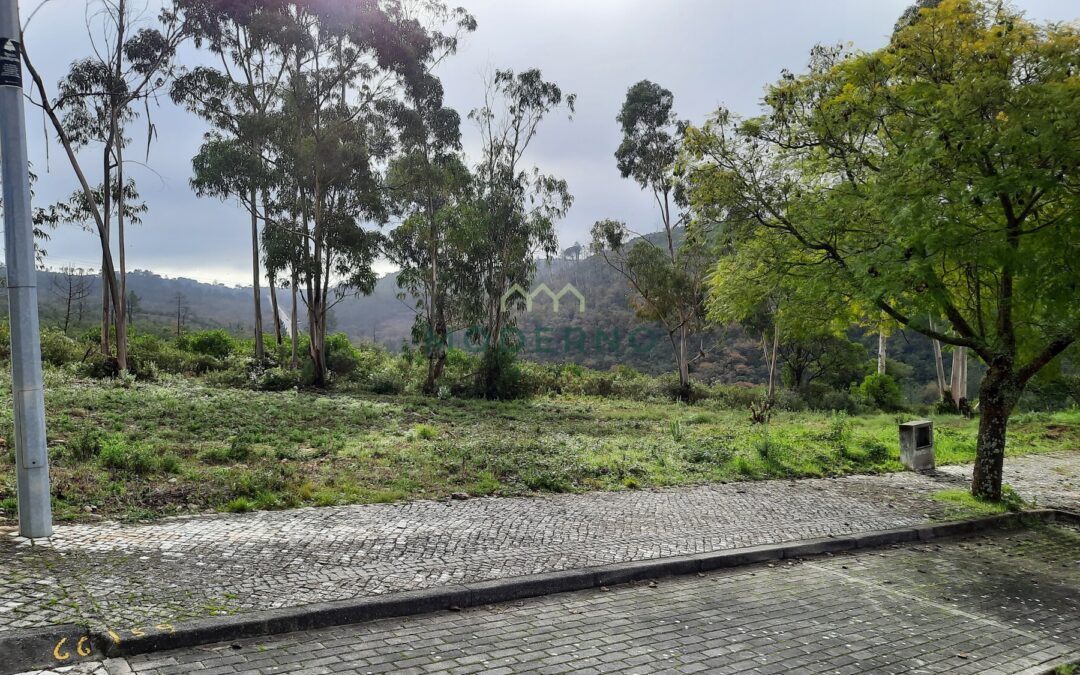 Terreno em Pombal – Urbanização Verde Sol