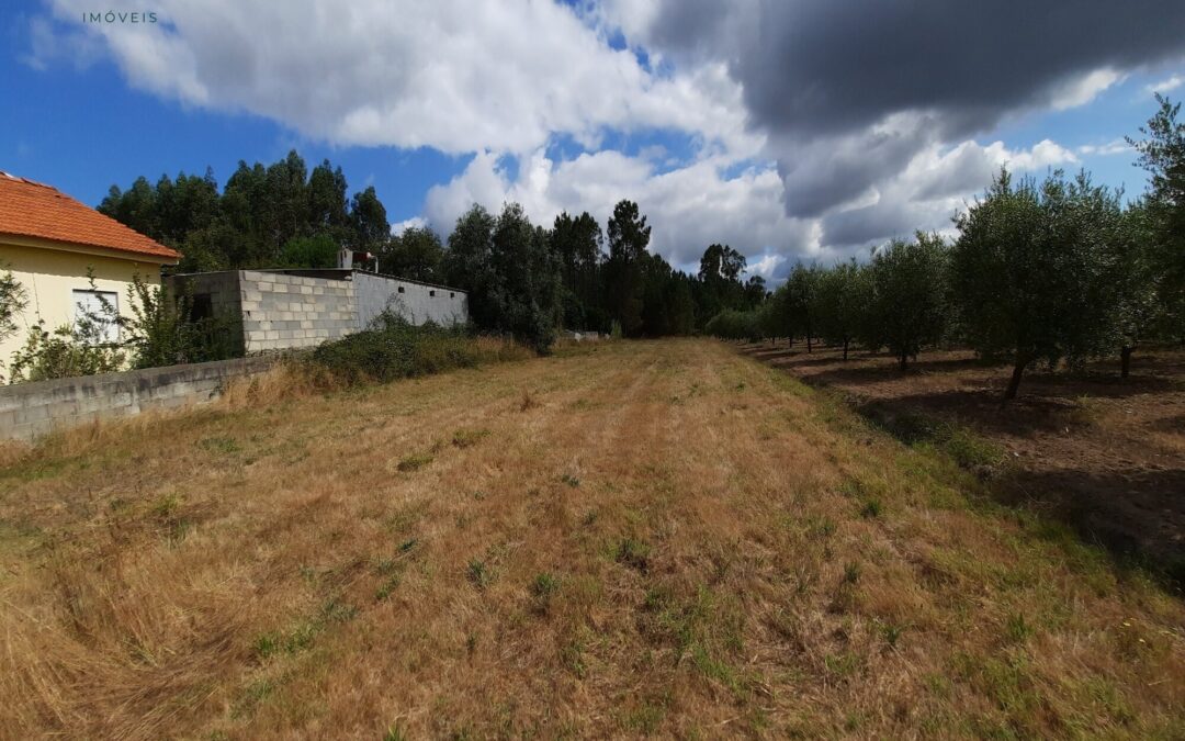 Terreno de construção na Foz – Mata Mourisca