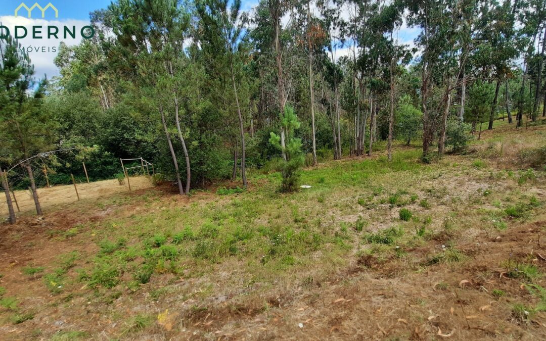 Terreno de Construção com 5100 m2