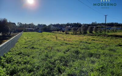 Terreno de Construção – Espinheiras, Mata Mourisca