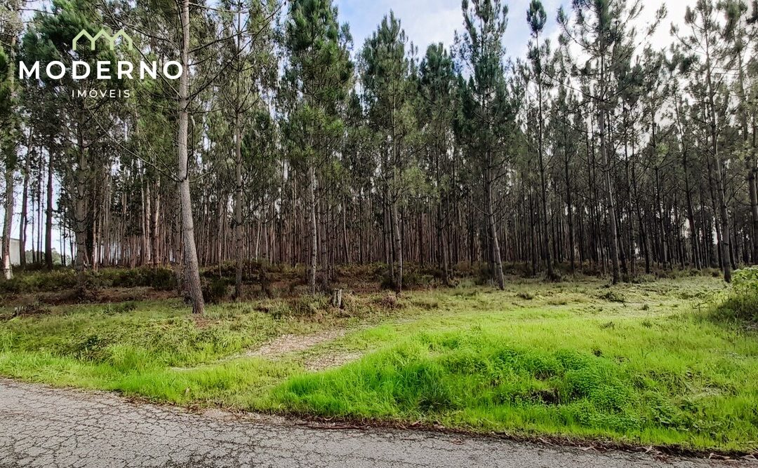 Terreno – Água Formosa, Ilha, Pombal