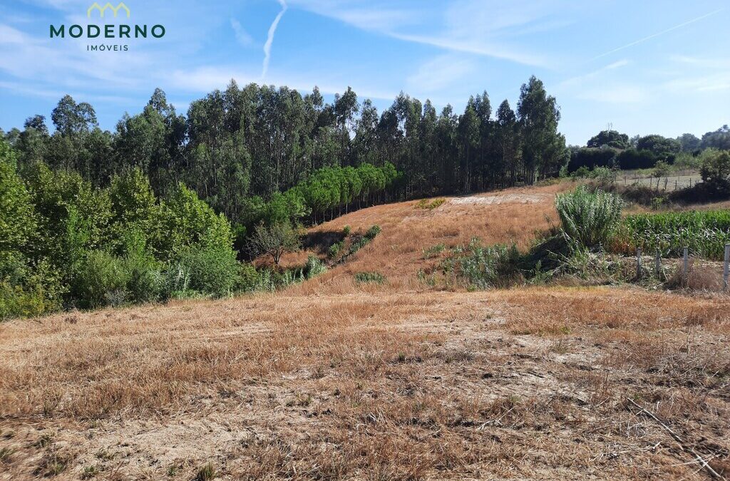 Terreno de 4269 m2 com água nascente – Moita da Roda