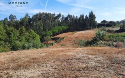 Terreno de 4269 m2 com água nascente – Moita da Roda