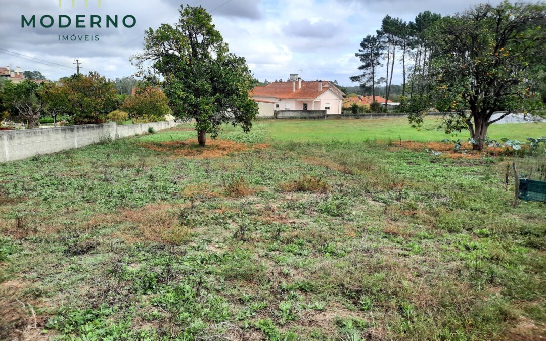 Terreno de Construção com 2 frentes de estrada – Ilha