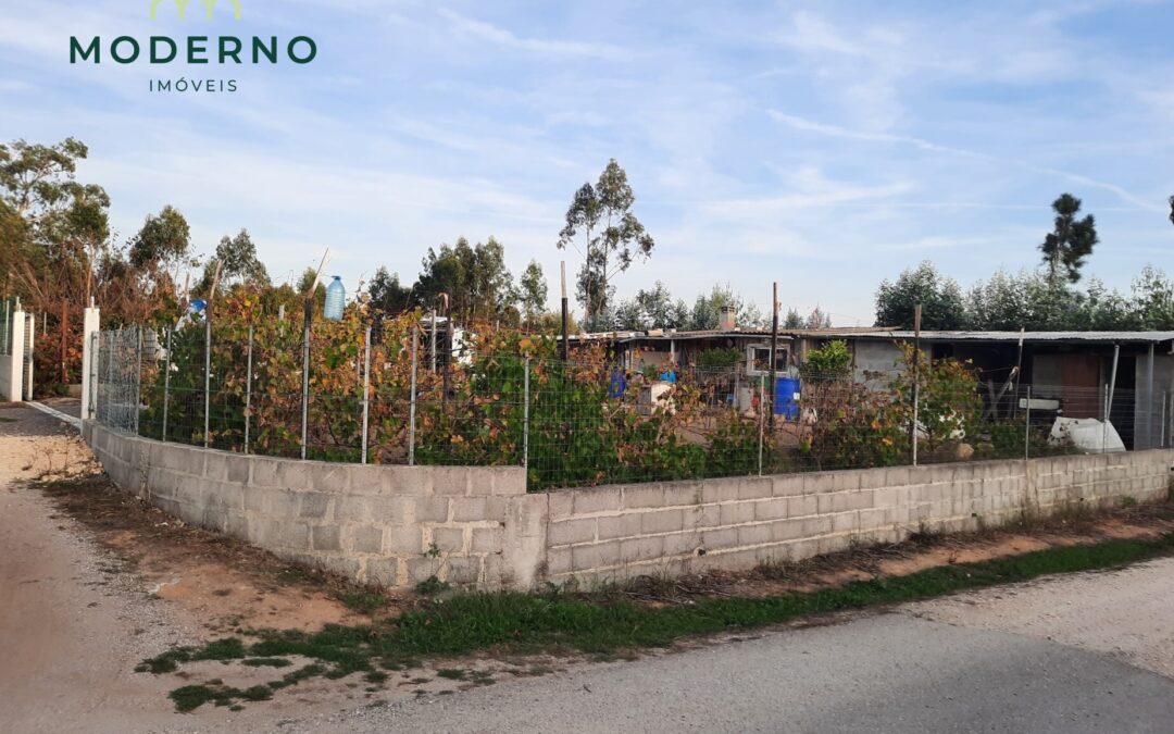 Terreno de Construção com Anexos – Paião, Fig. da Foz